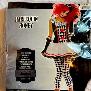 Harlequin clown Halloween costume